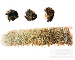 刺猬皮