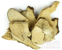 岗梅根