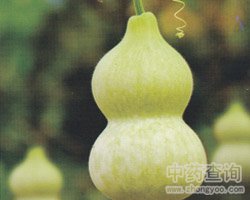 葫芦