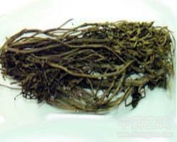 溪黄草