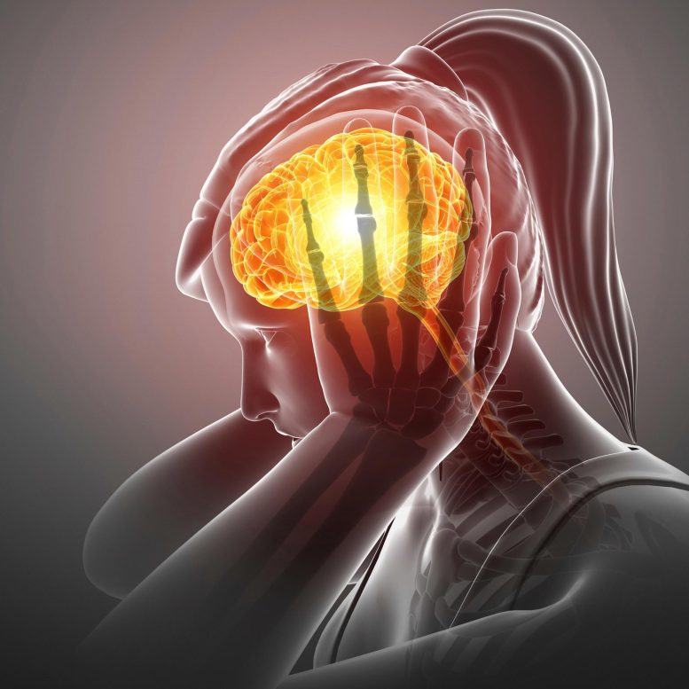 跨文化适应性和测量属性分析巴西葡萄牙语版本的Migraine Interictal Burden Scale-4。