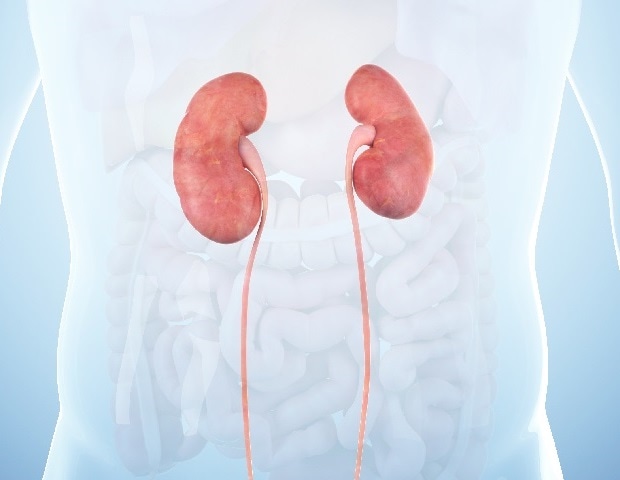镁代谢障碍的发病率及其与死亡率和生物化学参数在肾透析患者中的关联。