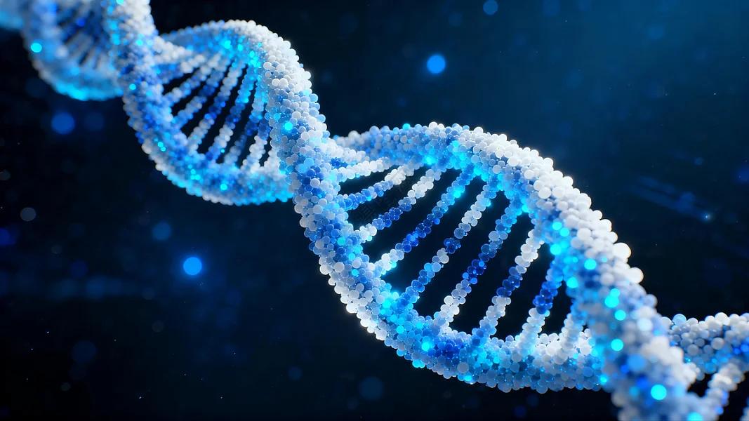 八年研究揭示了不同个体分子老化剧本的差异。