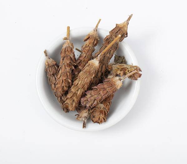 夏枯草的功效与作用