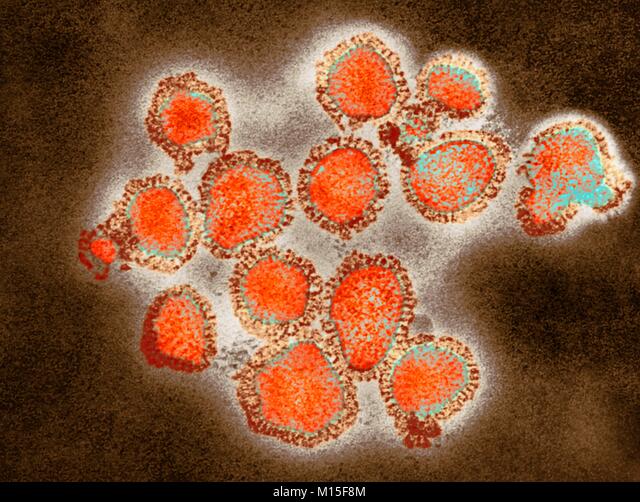 甲型H3N2亚型流感病毒仍占流行优势